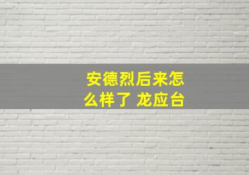 安德烈后来怎么样了 龙应台